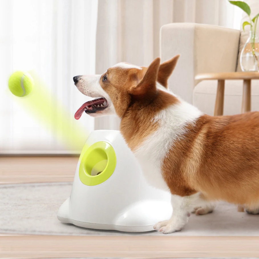 Automatic Ball Launcher Throwing Machine Dog Toys Interactive Tennis Pet Thrower with 3 Balls