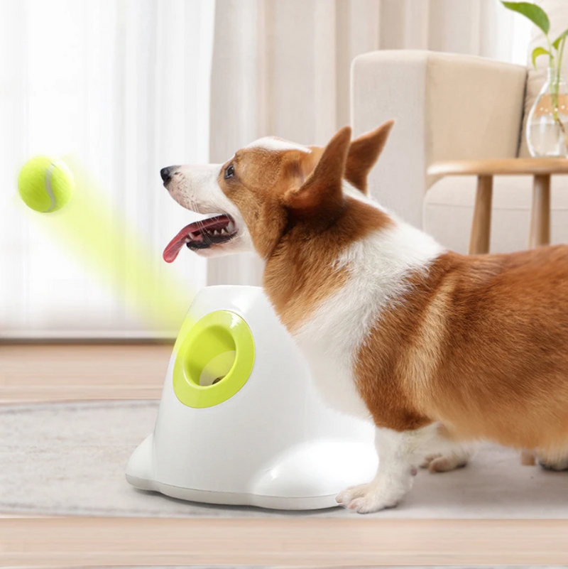 Automatic Ball Launcher Throwing Machine Dog Toys Interactive Tennis Pet Thrower with 3 Balls